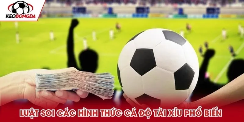Luật soi các hình thức cá độ tài xỉu phổ biến hiện nay