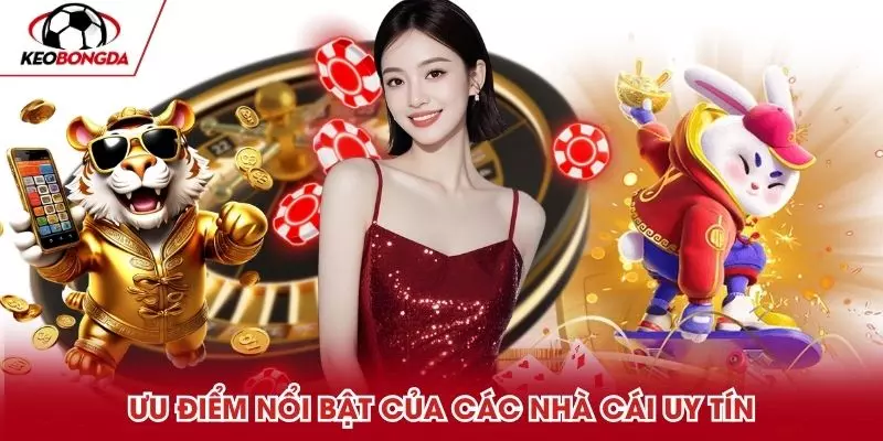 Những ưu điểm nổi bật từ các đơn vị uy tín