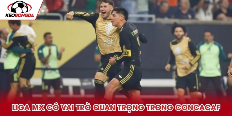 Liga MX có vai trò quan trọng hệ thống bóng đá CONCACAF