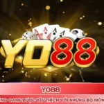 Yo88