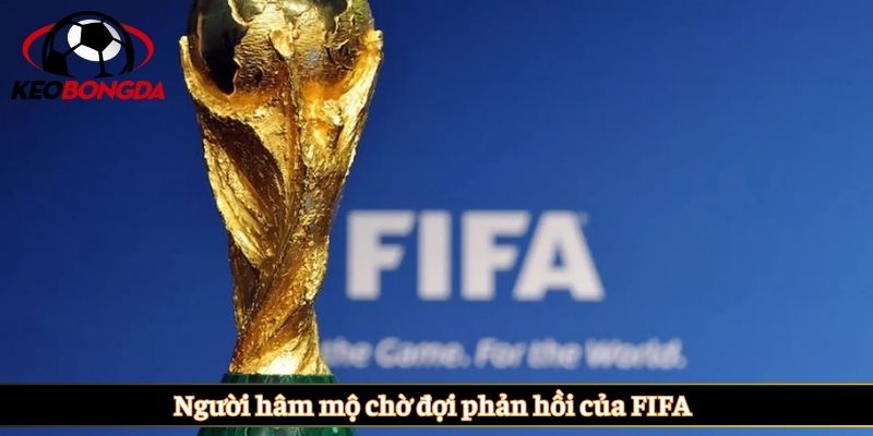 Người hâm mộ chờ đợi phản hồi của FIFA